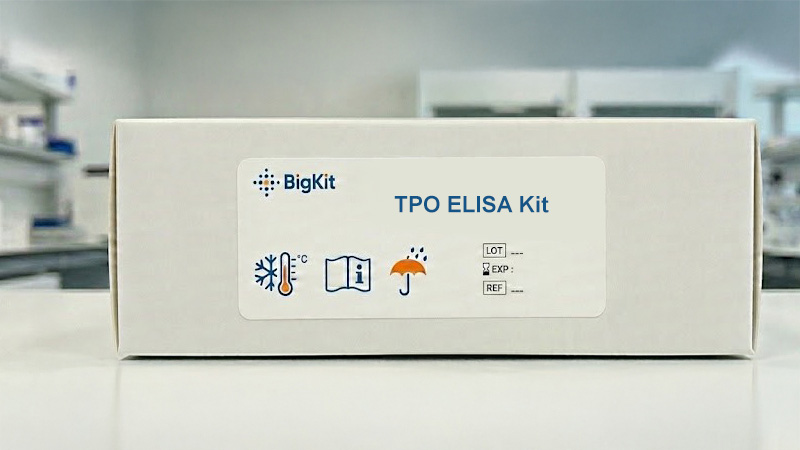 Elisa Kit A-TPO